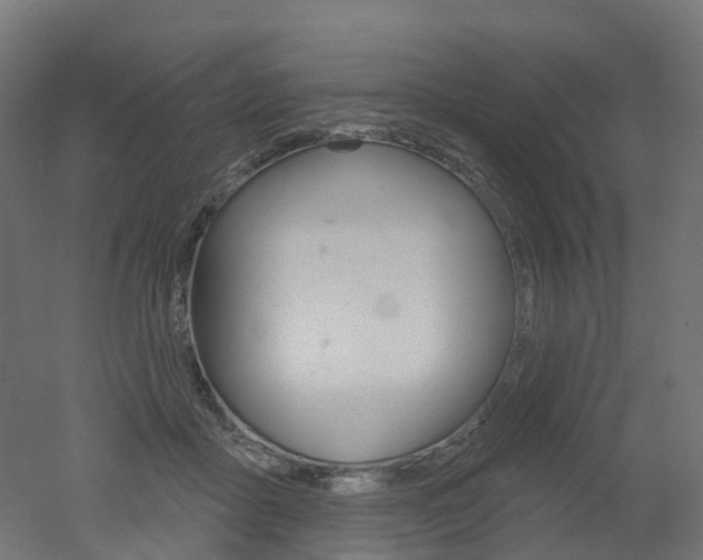 X0000051860411200506241007