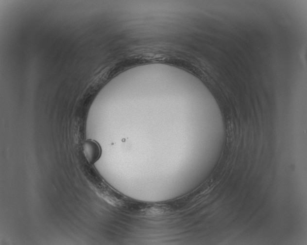 X0000051860412200506241007