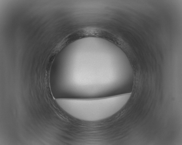 X0000051860413200506241007