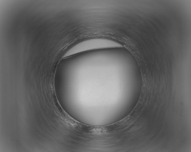 X0000051860415200506241007