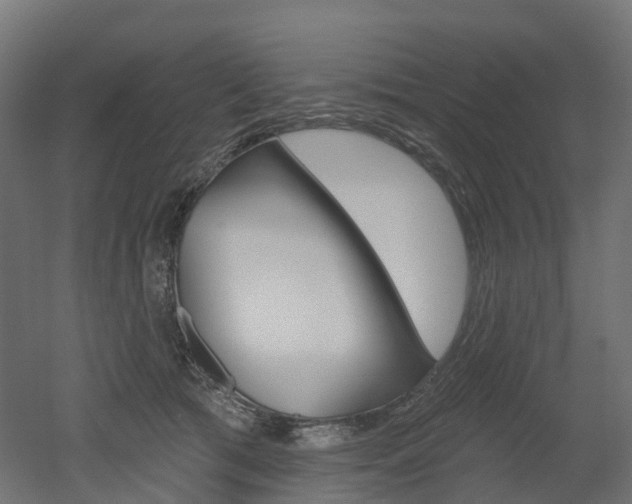 X0000051860417200506241007