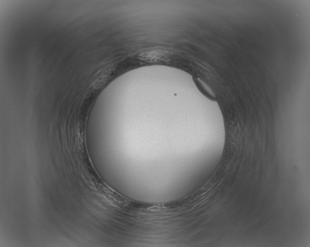 X0000051860420200506241007