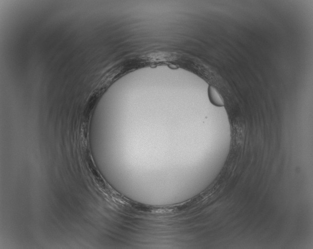X0000051860422200506241007