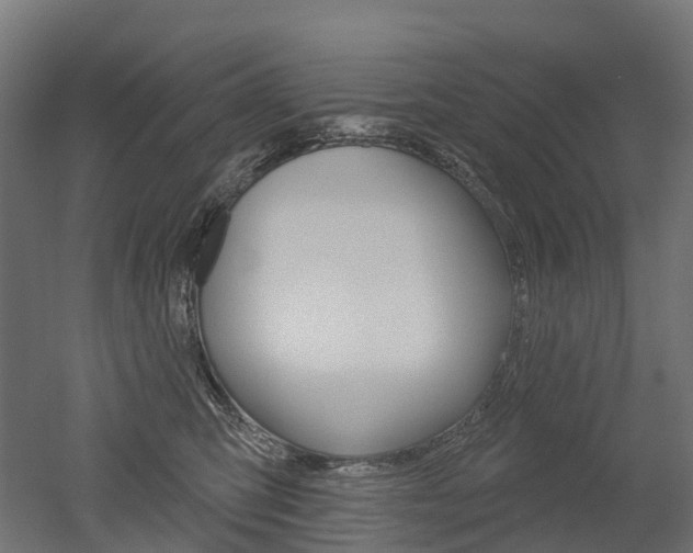 X0000051860423200506241007