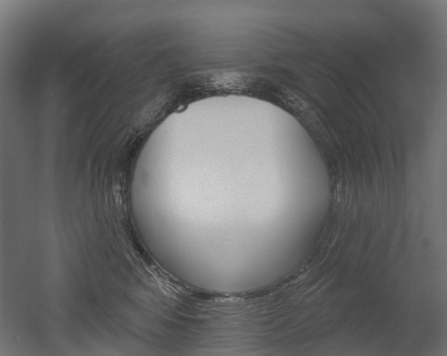 X0000051860424200506241007