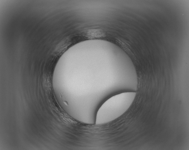 X0000051860426200506241007