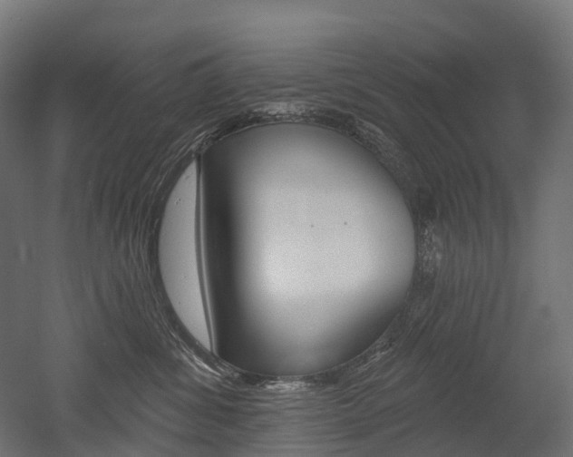 X0000051860428200506241007