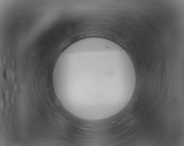 X0000051860431200506241007