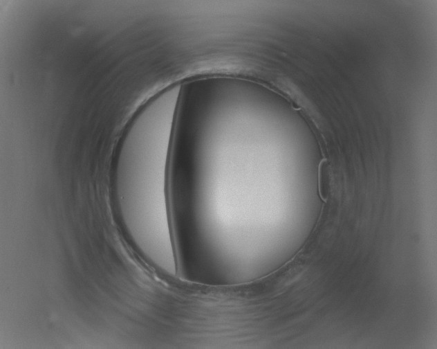 X0000051860434200506241006