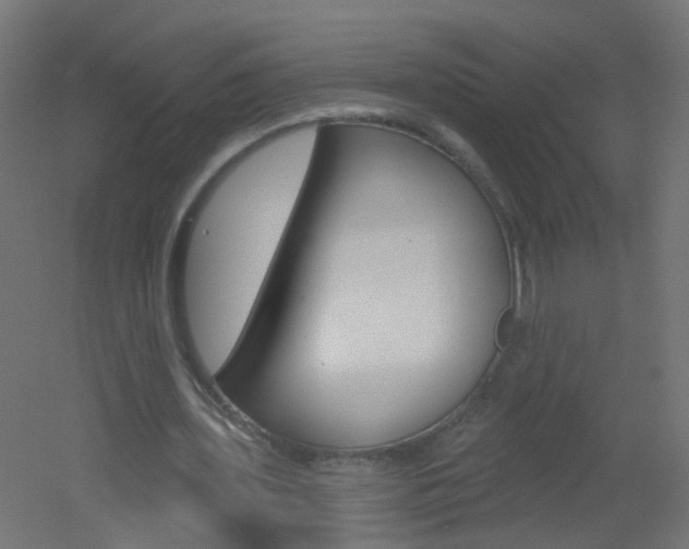 X0000051860435200506241006
