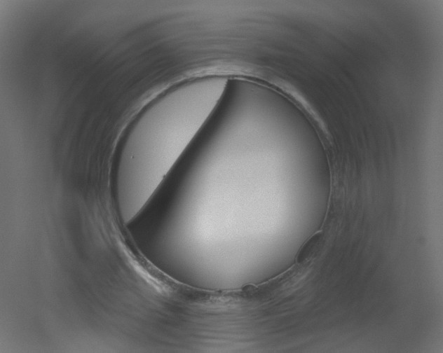 X0000051860437200506241006