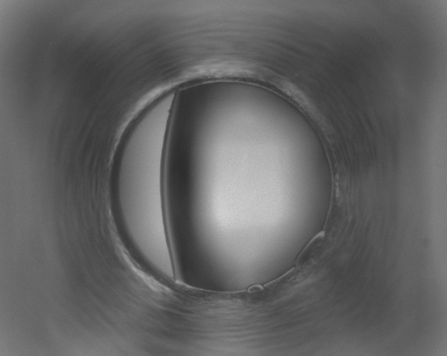 X0000051860438200506241006