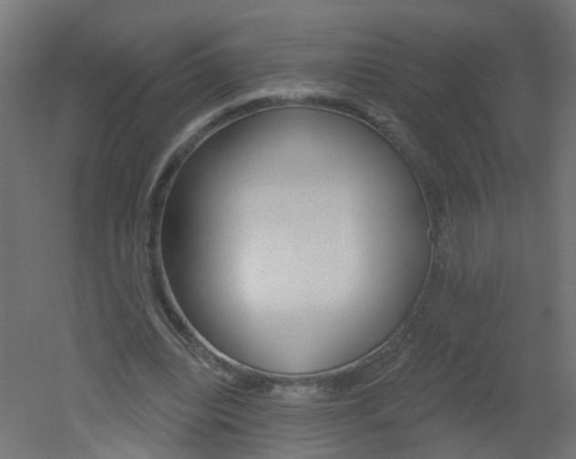 X0000051860440200506241006