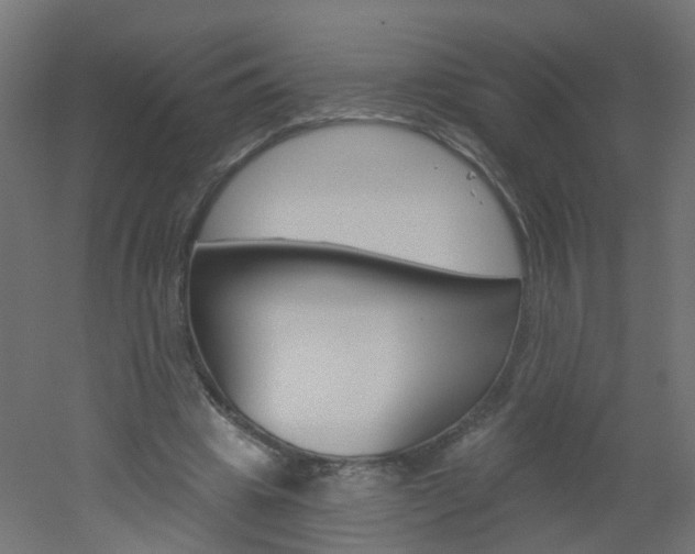 X0000051860441200506241006