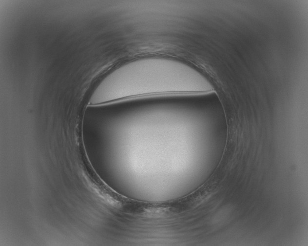 X0000051860450200506241006