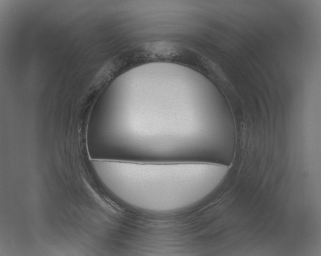 X0000051860451200506241006