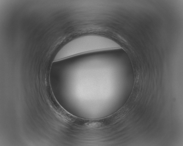 X0000051860452200506241006