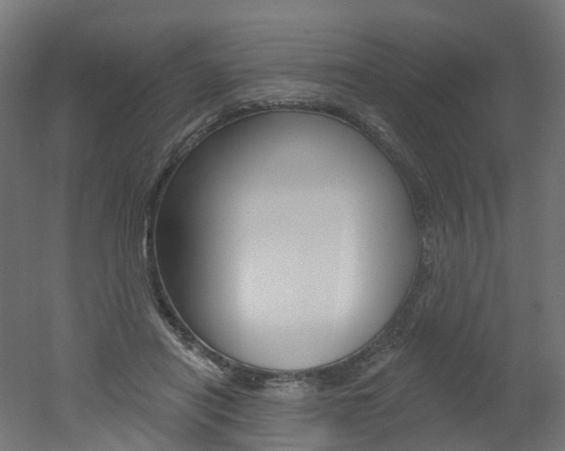 X0000051860454200506241006