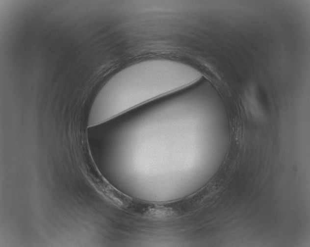 X0000051860455200506241006