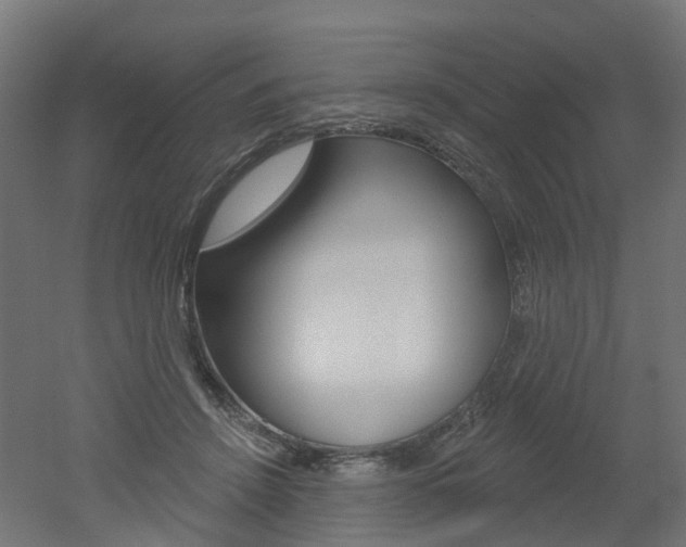 X0000051860456200506241006