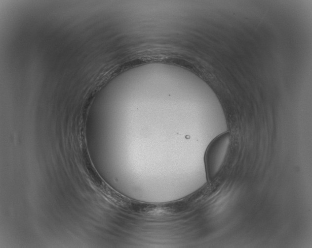 X0000051860460200506241007