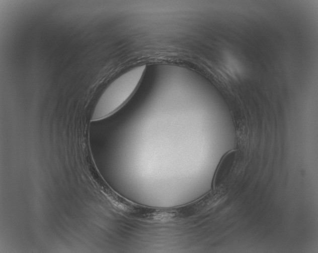 X0000051860462200506241007