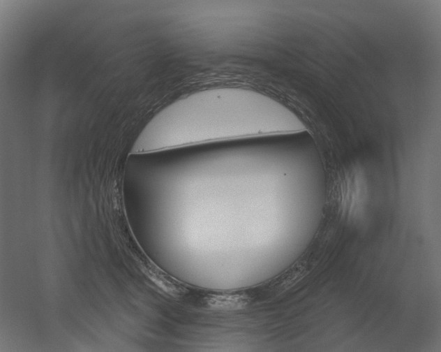 X0000051860465200506241007