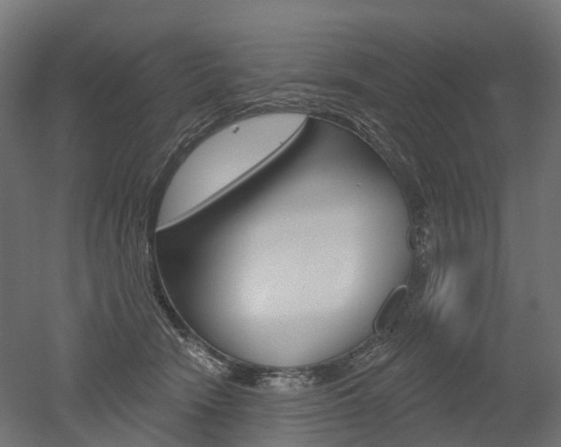 X0000051860466200506241007