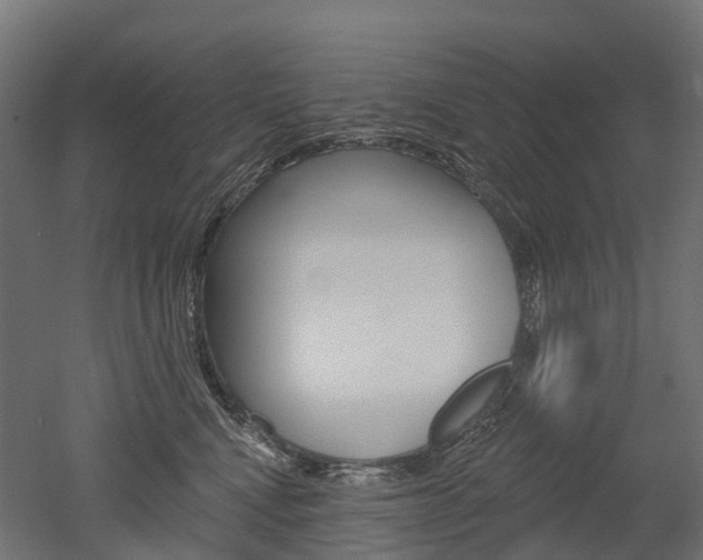 X0000051860472200506241007
