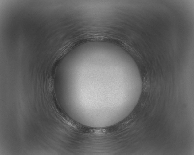 X0000051860474200506241007