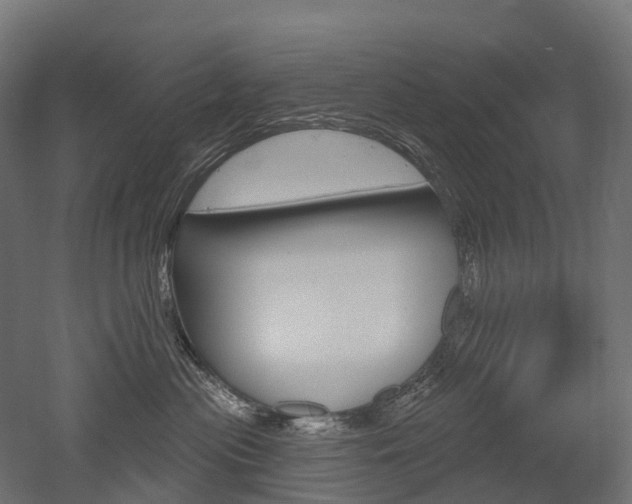 X0000051860477200506241007
