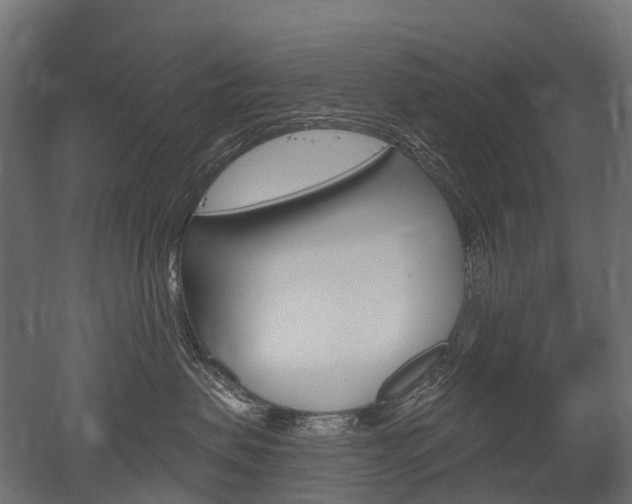 X0000051860479200506241007