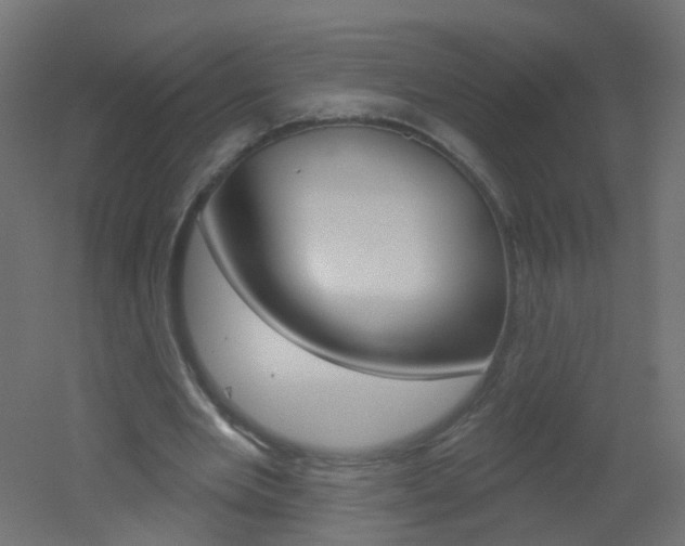 X0000051860485200506241006
