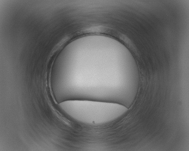 X0000051860486200506241006