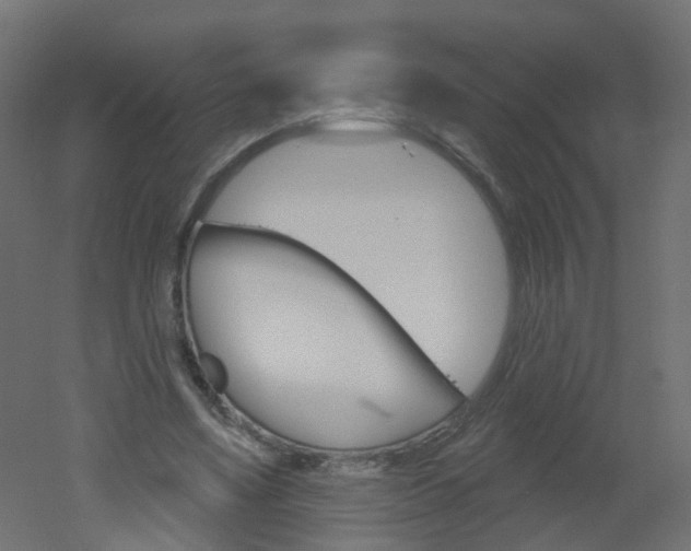 X0000051860491200506241006