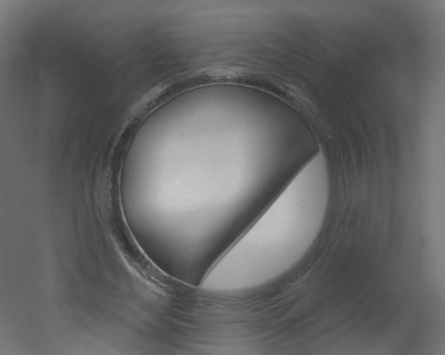 X0000051860492200506241006