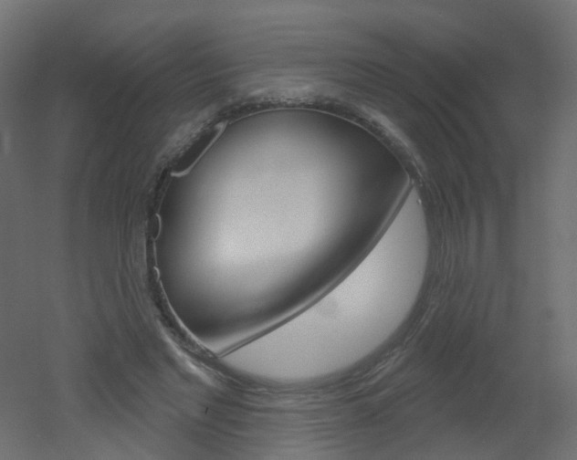 X0000051860493200506241006