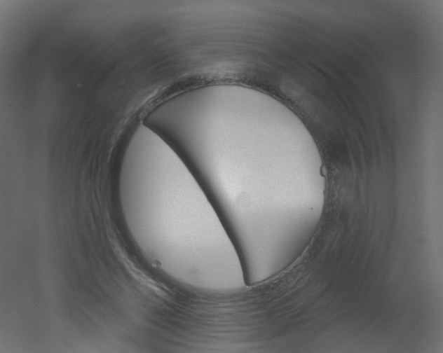 X0000051860494200506241006