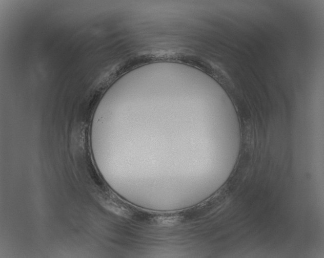 X0000051860495200506241006