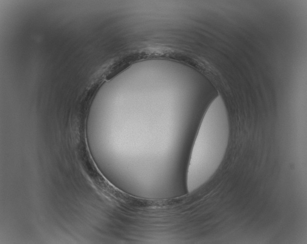 X0000051860496200506241006