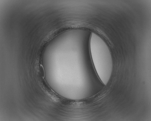 X0000051860497200506241006