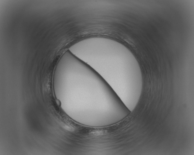 X0000051860499200506241006