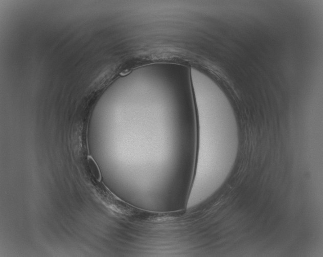 X0000051860501200506241006