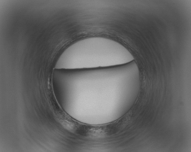 X0000051860502200506241006