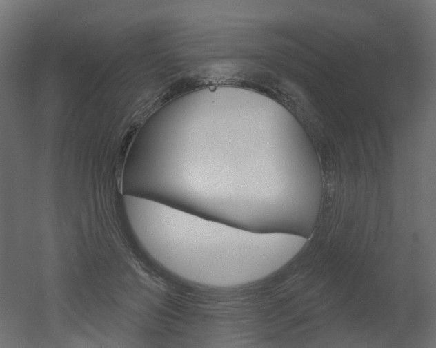 X0000051860503200506241006