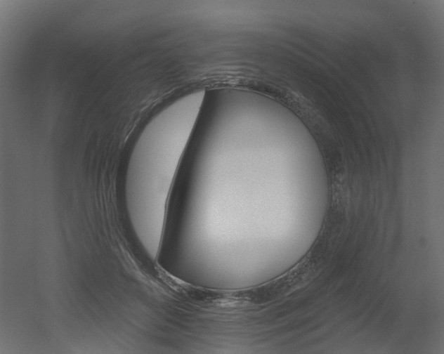 X0000051860504200506241006