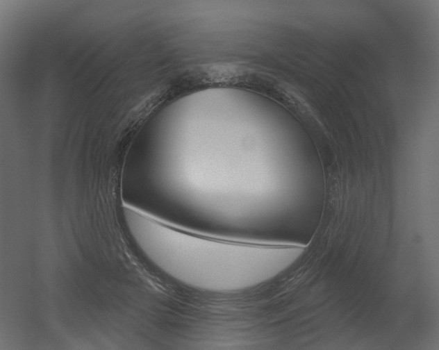 X0000051860505200506241006