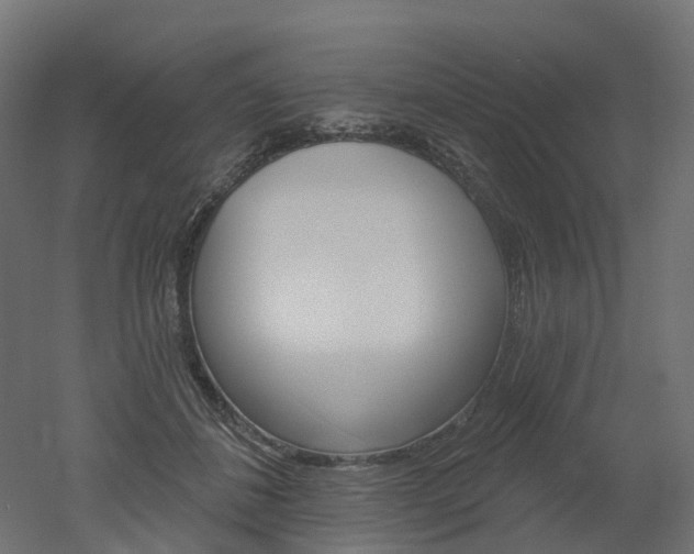 X0000051860508200506241006