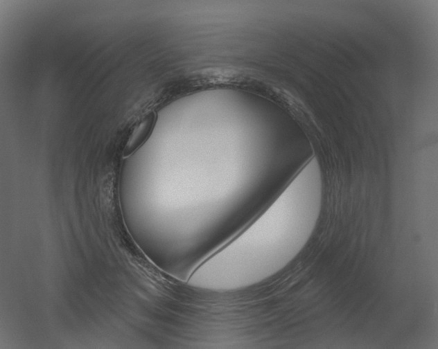 X0000051860509200506241006