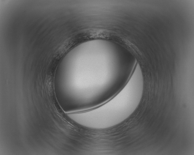 X0000051860513200506241006